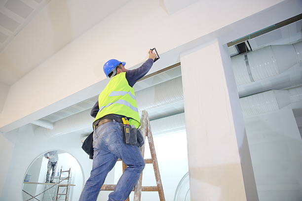 Best Biohazard Mold Removal  in Knightdale, NC